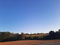 Olešná