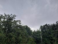 Olešná