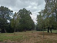 Habrovany