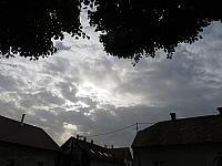 Třibřichy