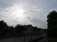 Třibřichy
