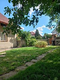 Třibřichy