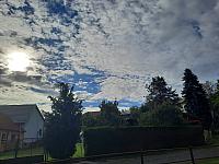 Olešná