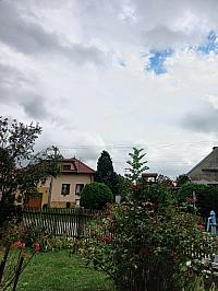 Třibřichy