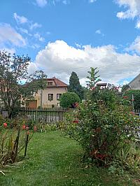 Třibřichy