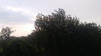Mikulčice