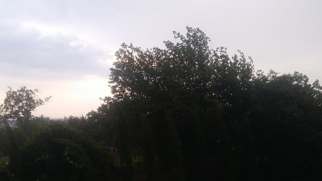 Mikulčice