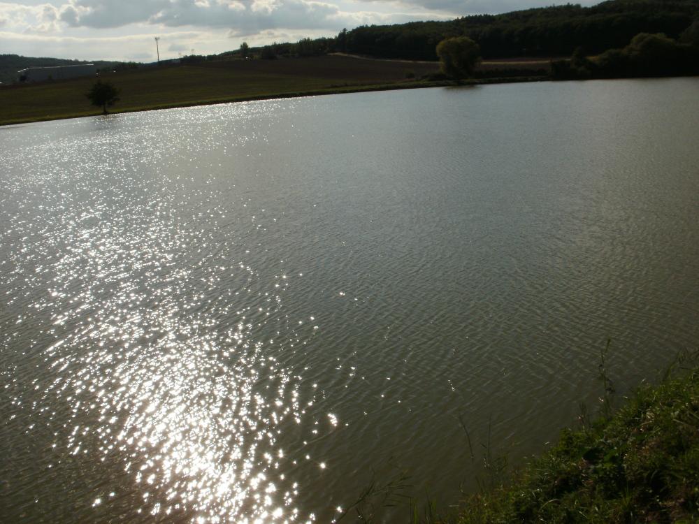 Brno Bosonohy