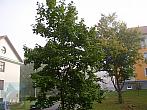 Slavičín, sídliště Vlára