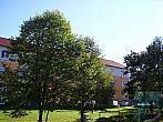 Slavičín, sídliště Vlára