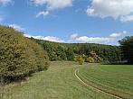 Brno Bosonohy