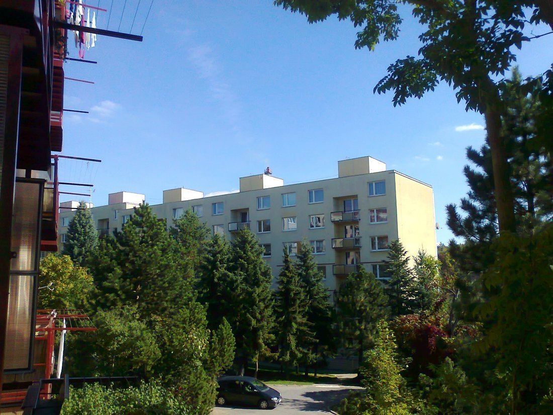 Borovina