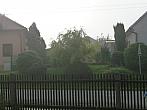 Třibřichy