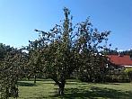 Jablunkov