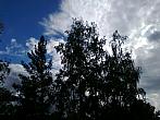 Borovina