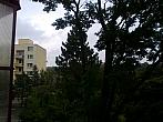 Borovina