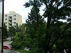 Borovina