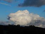 Zajíčkov