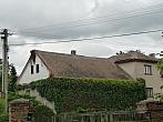 Třibřichy