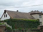 Třibřichy