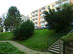 Borovina
