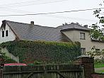 Třibřichy
