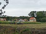Třibřichy