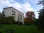Borovina