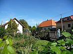 Třibřichy