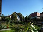 Třibřichy