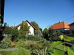 Třibřichy
