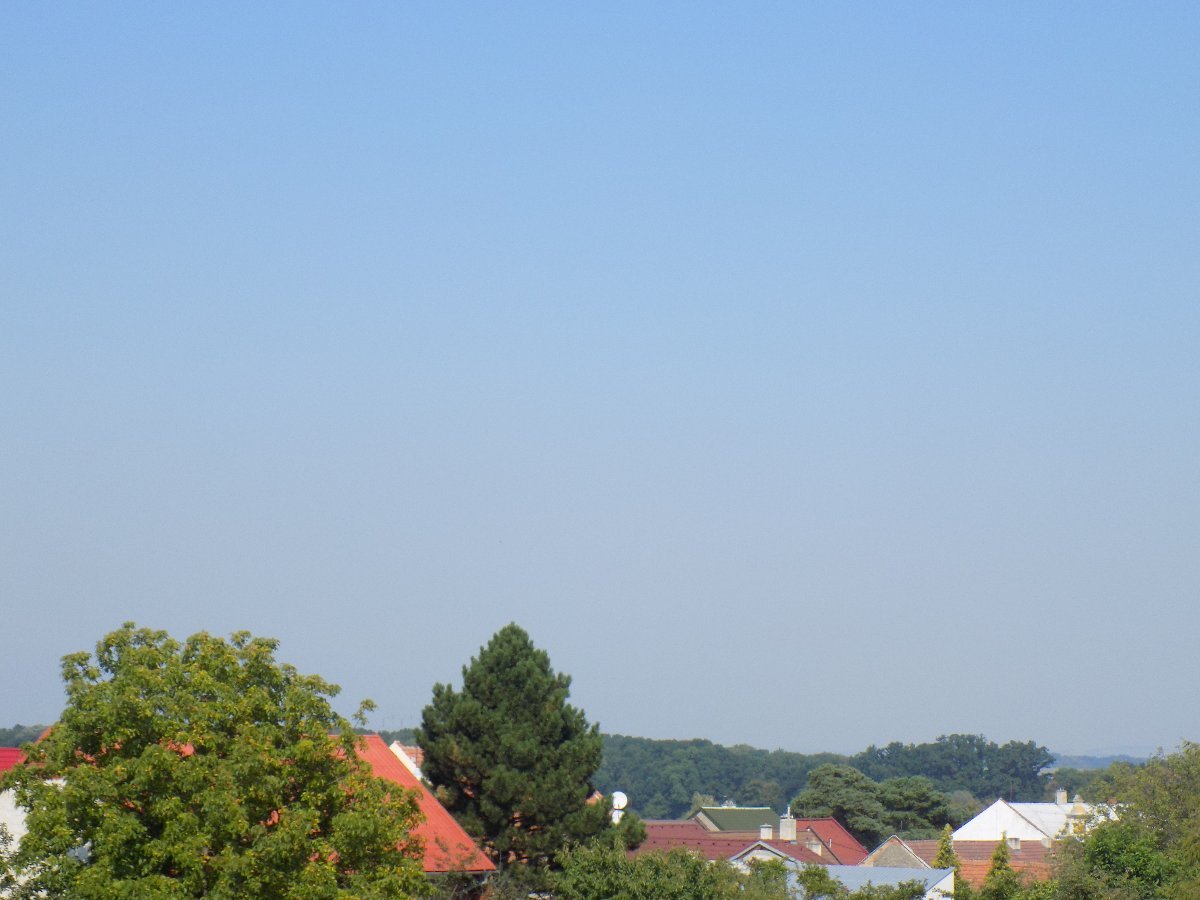 Kvasice