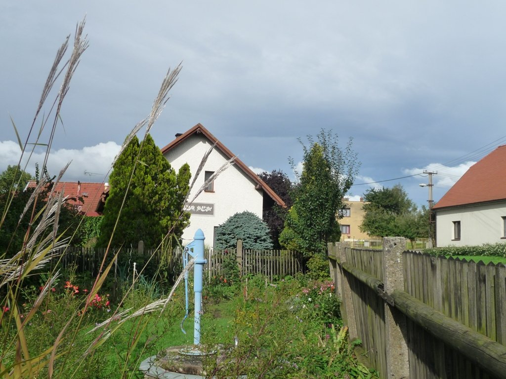 Třibřichy