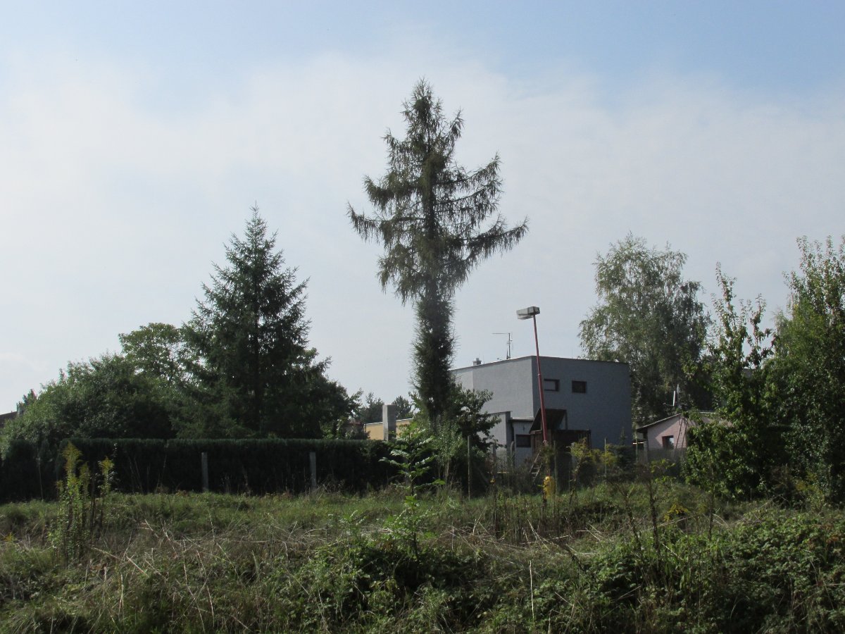 Neratovice