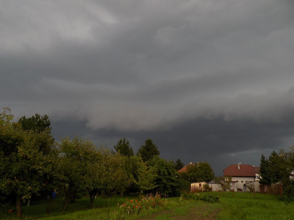 Kvasice