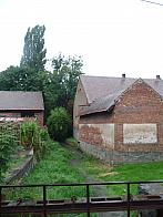 Třibřichy