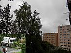 Borovina