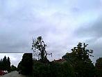 Borovina