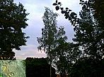 Borovina