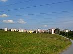 Borovina