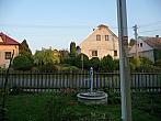 Třibřichy