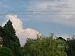 Třibřichy