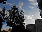 Borovina
