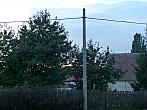 Třibřichy