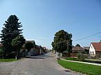 Třibřichy
