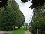 Třibřichy