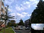 Borovina