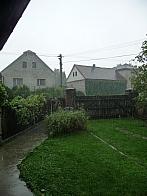 Třibřichy