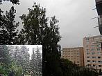 Borovina