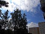 Borovina